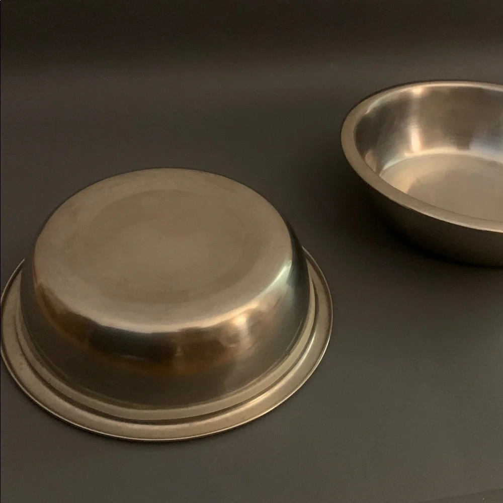 Stainless Steel Pet Bowls with Gray Mat